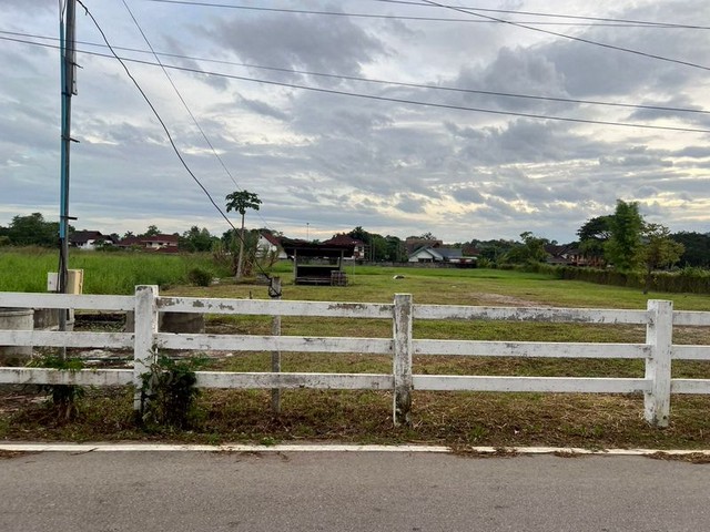 ประกาศฟรี! ซื้อ-ขาย-เช่า คอนโด บ้าน ทาวน์โฮม ที่ดิน และพื้นที่เชิงพาณิชย์ทั่วประเทศไทย ทุกทำเล ทุกงบประมาณ ไม่มีค่าใช้จ่าย ลงง่าย ขายไว เข้าถึงผู้ซื้อโดยตรง 4 213790pic3.jpg