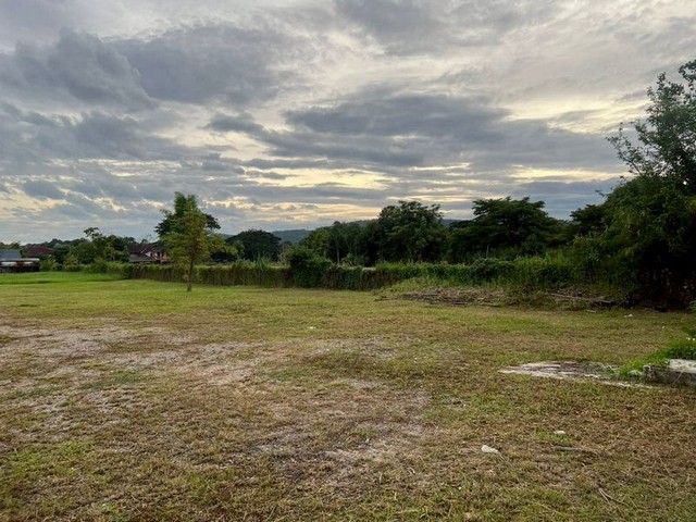 ประกาศฟรี! ซื้อ-ขาย-เช่า คอนโด บ้าน ทาวน์โฮม ที่ดิน และพื้นที่เชิงพาณิชย์ทั่วประเทศไทย ทุกทำเล ทุกงบประมาณ ไม่มีค่าใช้จ่าย ลงง่าย ขายไว เข้าถึงผู้ซื้อโดยตรง 5 213790pic4.jpg