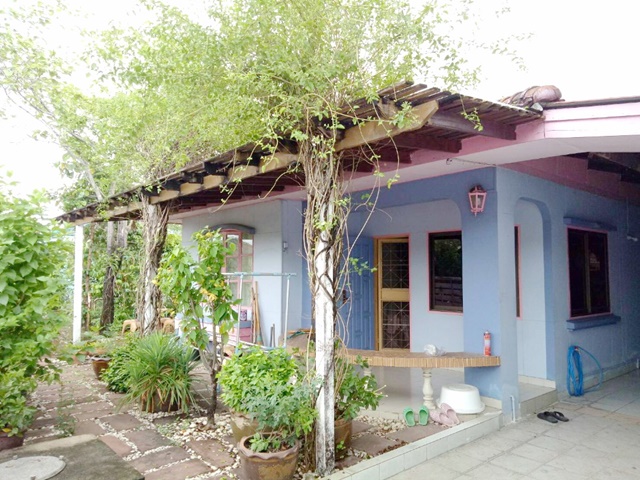 ประกาศฟรี! ซื้อ-ขาย-เช่า คอนโด บ้าน ทาวน์โฮม ที่ดิน และพื้นที่เชิงพาณิชย์ทั่วประเทศไทย ทุกทำเล ทุกงบประมาณ ไม่มีค่าใช้จ่าย ลงง่าย ขายไว เข้าถึงผู้ซื้อโดยตรง 2 297476pic1.jpg