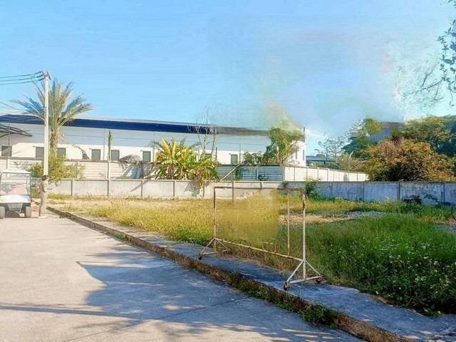 ประกาศฟรี! ซื้อ-ขาย-เช่า คอนโด บ้าน ทาวน์โฮม ที่ดิน และพื้นที่เชิงพาณิชย์ทั่วประเทศไทย ทุกทำเล ทุกงบประมาณ ไม่มีค่าใช้จ่าย ลงง่าย ขายไว เข้าถึงผู้ซื้อโดยตรง 2 213878pic1.jpg