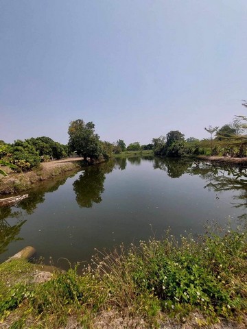 ประกาศฟรี! ซื้อ-ขาย-เช่า คอนโด บ้าน ทาวน์โฮม ที่ดิน และพื้นที่เชิงพาณิชย์ทั่วประเทศไทย ทุกทำเล ทุกงบประมาณ ไม่มีค่าใช้จ่าย ลงง่าย ขายไว เข้าถึงผู้ซื้อโดยตรง 4 214094pic3.jpg