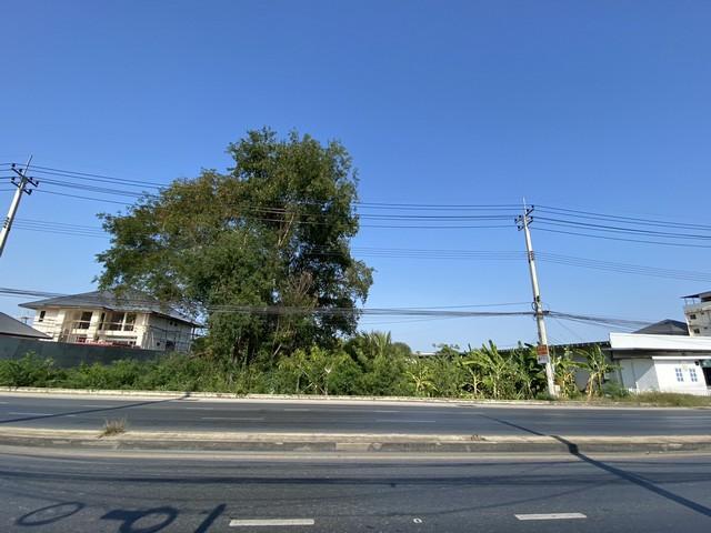 ประกาศฟรี! ซื้อ-ขาย-เช่า คอนโด บ้าน ทาวน์โฮม ที่ดิน และพื้นที่เชิงพาณิชย์ทั่วประเทศไทย ทุกทำเล ทุกงบประมาณ ไม่มีค่าใช้จ่าย ลงง่าย ขายไว เข้าถึงผู้ซื้อโดยตรง 2 497623pic1.jpg