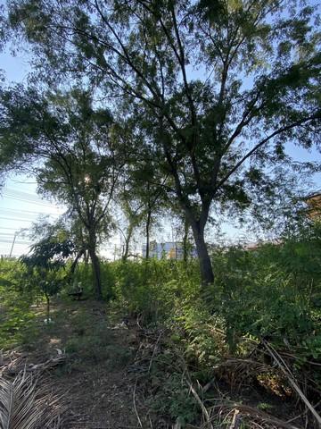 ประกาศฟรี! ซื้อ-ขาย-เช่า คอนโด บ้าน ทาวน์โฮม ที่ดิน และพื้นที่เชิงพาณิชย์ทั่วประเทศไทย ทุกทำเล ทุกงบประมาณ ไม่มีค่าใช้จ่าย ลงง่าย ขายไว เข้าถึงผู้ซื้อโดยตรง 5 497623pic4.jpg