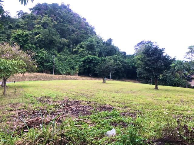 ประกาศฟรี! ซื้อ-ขาย-เช่า คอนโด บ้าน ทาวน์โฮม ที่ดิน และพื้นที่เชิงพาณิชย์ทั่วประเทศไทย ทุกทำเล ทุกงบประมาณ ไม่มีค่าใช้จ่าย ลงง่าย ขายไว เข้าถึงผู้ซื้อโดยตรง 4 497702pic3.jpg