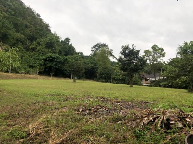 ประกาศฟรี! ซื้อ-ขาย-เช่า คอนโด บ้าน ทาวน์โฮม ที่ดิน และพื้นที่เชิงพาณิชย์ทั่วประเทศไทย ทุกทำเล ทุกงบประมาณ ไม่มีค่าใช้จ่าย ลงง่าย ขายไว เข้าถึงผู้ซื้อโดยตรง 5 497702pic4.jpg