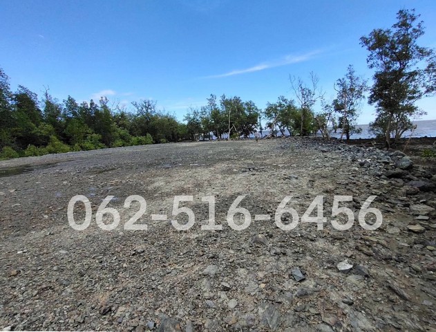 ประกาศฟรี! ซื้อ-ขาย-เช่า คอนโด บ้าน ทาวน์โฮม ที่ดิน และพื้นที่เชิงพาณิชย์ทั่วประเทศไทย ทุกทำเล ทุกงบประมาณ ไม่มีค่าใช้จ่าย ลงง่าย ขายไว เข้าถึงผู้ซื้อโดยตรง 3 265577pic2.jpg