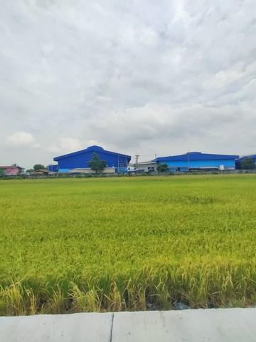 ประกาศฟรี! ซื้อ-ขาย-เช่า คอนโด บ้าน ทาวน์โฮม ที่ดิน และพื้นที่เชิงพาณิชย์ทั่วประเทศไทย ทุกทำเล ทุกงบประมาณ ไม่มีค่าใช้จ่าย ลงง่าย ขายไว เข้าถึงผู้ซื้อโดยตรง 5 487645pic4.jpg