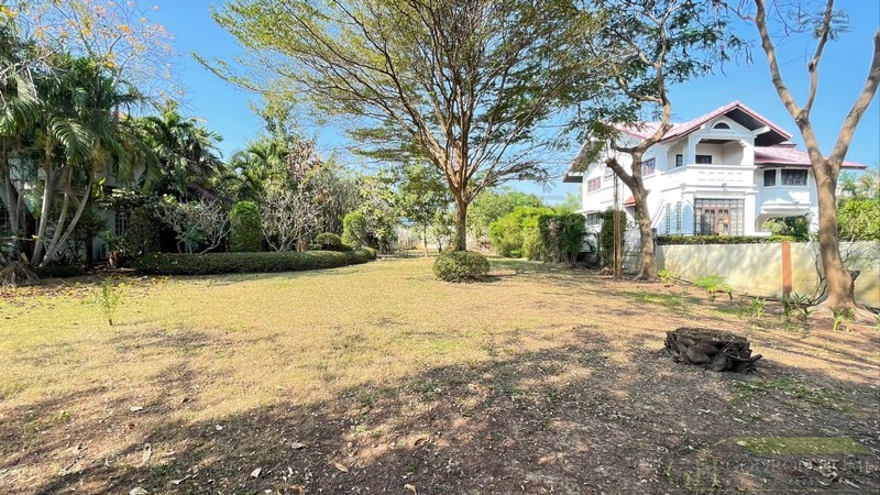 ประกาศฟรี! ซื้อ-ขาย-เช่า คอนโด บ้าน ทาวน์โฮม ที่ดิน และพื้นที่เชิงพาณิชย์ทั่วประเทศไทย ทุกทำเล ทุกงบประมาณ ไม่มีค่าใช้จ่าย ลงง่าย ขายไว เข้าถึงผู้ซื้อโดยตรง 2 290950pic1.jpg