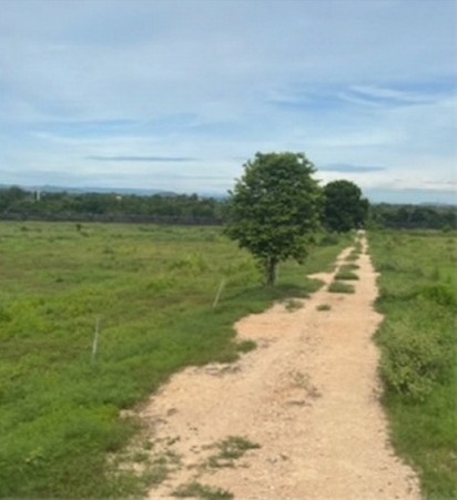 ประกาศฟรี! ซื้อ-ขาย-เช่า คอนโด บ้าน ทาวน์โฮม ที่ดิน และพื้นที่เชิงพาณิชย์ทั่วประเทศไทย ทุกทำเล ทุกงบประมาณ ไม่มีค่าใช้จ่าย ลงง่าย ขายไว เข้าถึงผู้ซื้อโดยตรง 2 285952pic1.jpg