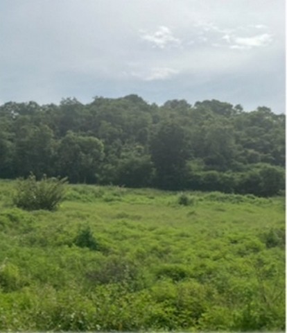 ประกาศฟรี! ซื้อ-ขาย-เช่า คอนโด บ้าน ทาวน์โฮม ที่ดิน และพื้นที่เชิงพาณิชย์ทั่วประเทศไทย ทุกทำเล ทุกงบประมาณ ไม่มีค่าใช้จ่าย ลงง่าย ขายไว เข้าถึงผู้ซื้อโดยตรง 4 285952pic3.jpg