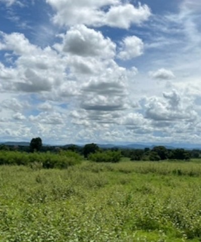 ประกาศฟรี! ซื้อ-ขาย-เช่า คอนโด บ้าน ทาวน์โฮม ที่ดิน และพื้นที่เชิงพาณิชย์ทั่วประเทศไทย ทุกทำเล ทุกงบประมาณ ไม่มีค่าใช้จ่าย ลงง่าย ขายไว เข้าถึงผู้ซื้อโดยตรง 5 285952pic4.jpg