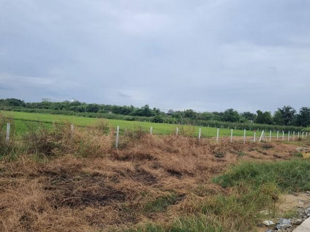 ประกาศฟรี! ซื้อ-ขาย-เช่า คอนโด บ้าน ทาวน์โฮม ที่ดิน และพื้นที่เชิงพาณิชย์ทั่วประเทศไทย ทุกทำเล ทุกงบประมาณ ไม่มีค่าใช้จ่าย ลงง่าย ขายไว เข้าถึงผู้ซื้อโดยตรง 2 497700pic1.jpg