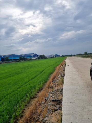 ประกาศฟรี! ซื้อ-ขาย-เช่า คอนโด บ้าน ทาวน์โฮม ที่ดิน และพื้นที่เชิงพาณิชย์ทั่วประเทศไทย ทุกทำเล ทุกงบประมาณ ไม่มีค่าใช้จ่าย ลงง่าย ขายไว เข้าถึงผู้ซื้อโดยตรง 5 497700pic4.jpg