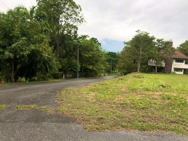 ประกาศฟรี! ซื้อ-ขาย-เช่า คอนโด บ้าน ทาวน์โฮม ที่ดิน และพื้นที่เชิงพาณิชย์ทั่วประเทศไทย ทุกทำเล ทุกงบประมาณ ไม่มีค่าใช้จ่าย ลงง่าย ขายไว เข้าถึงผู้ซื้อโดยตรง 2 498895pic1.jpg