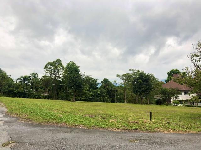 ประกาศฟรี! ซื้อ-ขาย-เช่า คอนโด บ้าน ทาวน์โฮม ที่ดิน และพื้นที่เชิงพาณิชย์ทั่วประเทศไทย ทุกทำเล ทุกงบประมาณ ไม่มีค่าใช้จ่าย ลงง่าย ขายไว เข้าถึงผู้ซื้อโดยตรง 4 498895pic3.jpg