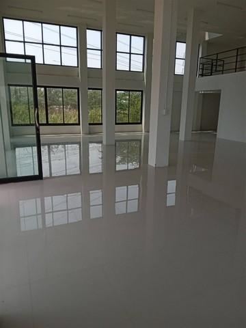 ประกาศฟรี! ซื้อ-ขาย-เช่า คอนโด บ้าน ทาวน์โฮม ที่ดิน และพื้นที่เชิงพาณิชย์ทั่วประเทศไทย ทุกทำเล ทุกงบประมาณ ไม่มีค่าใช้จ่าย ลงง่าย ขายไว เข้าถึงผู้ซื้อโดยตรง 3 498917pic2.jpg