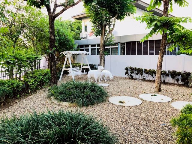 ประกาศฟรี! ซื้อ-ขาย-เช่า คอนโด บ้าน ทาวน์โฮม ที่ดิน และพื้นที่เชิงพาณิชย์ทั่วประเทศไทย ทุกทำเล ทุกงบประมาณ ไม่มีค่าใช้จ่าย ลงง่าย ขายไว เข้าถึงผู้ซื้อโดยตรง 3 221730pic2.jpg