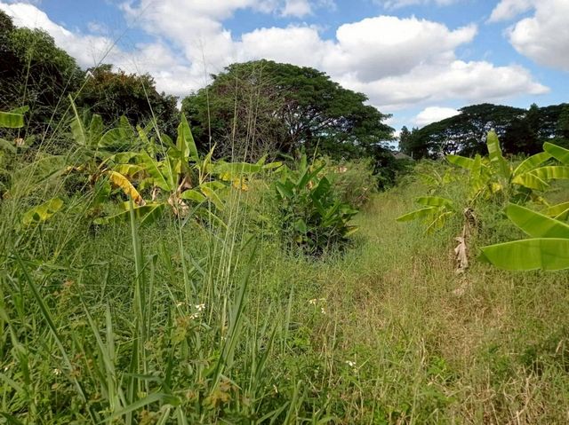 ประกาศฟรี! ซื้อ-ขาย-เช่า คอนโด บ้าน ทาวน์โฮม ที่ดิน และพื้นที่เชิงพาณิชย์ทั่วประเทศไทย ทุกทำเล ทุกงบประมาณ ไม่มีค่าใช้จ่าย ลงง่าย ขายไว เข้าถึงผู้ซื้อโดยตรง 3 222000pic2.jpg