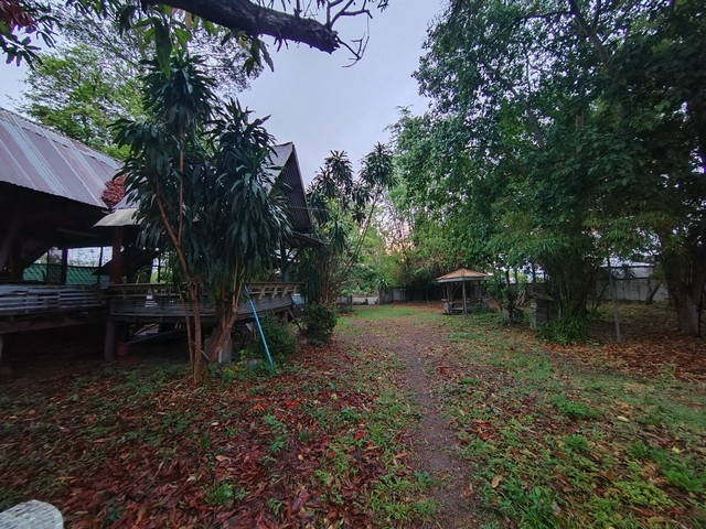 ประกาศฟรี! ซื้อ-ขาย-เช่า คอนโด บ้าน ทาวน์โฮม ที่ดิน และพื้นที่เชิงพาณิชย์ทั่วประเทศไทย ทุกทำเล ทุกงบประมาณ ไม่มีค่าใช้จ่าย ลงง่าย ขายไว เข้าถึงผู้ซื้อโดยตรง 4 302620pic3.jpg