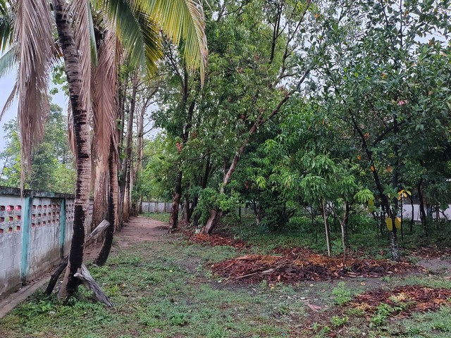 ประกาศฟรี! ซื้อ-ขาย-เช่า คอนโด บ้าน ทาวน์โฮม ที่ดิน และพื้นที่เชิงพาณิชย์ทั่วประเทศไทย ทุกทำเล ทุกงบประมาณ ไม่มีค่าใช้จ่าย ลงง่าย ขายไว เข้าถึงผู้ซื้อโดยตรง 5 302620pic4.jpg