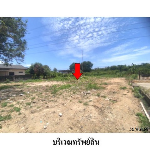 ประกาศฟรี! ซื้อ-ขาย-เช่า คอนโด บ้าน ทาวน์โฮม ที่ดิน และพื้นที่เชิงพาณิชย์ทั่วประเทศไทย ทุกทำเล ทุกงบประมาณ ไม่มีค่าใช้จ่าย ลงง่าย ขายไว เข้าถึงผู้ซื้อโดยตรง 3 218415pic2.jpg