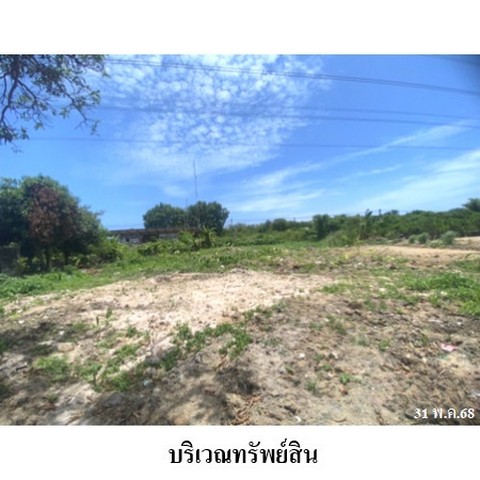 ประกาศฟรี! ซื้อ-ขาย-เช่า คอนโด บ้าน ทาวน์โฮม ที่ดิน และพื้นที่เชิงพาณิชย์ทั่วประเทศไทย ทุกทำเล ทุกงบประมาณ ไม่มีค่าใช้จ่าย ลงง่าย ขายไว เข้าถึงผู้ซื้อโดยตรง 5 218415pic4.jpg