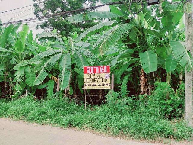 ประกาศฟรี! ซื้อ-ขาย-เช่า คอนโด บ้าน ทาวน์โฮม ที่ดิน และพื้นที่เชิงพาณิชย์ทั่วประเทศไทย ทุกทำเล ทุกงบประมาณ ไม่มีค่าใช้จ่าย ลงง่าย ขายไว เข้าถึงผู้ซื้อโดยตรง 2 500560pic1.jpg