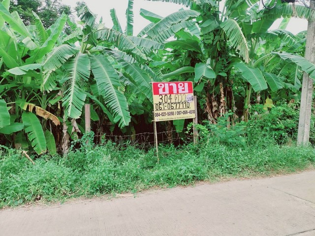 ประกาศฟรี! ซื้อ-ขาย-เช่า คอนโด บ้าน ทาวน์โฮม ที่ดิน และพื้นที่เชิงพาณิชย์ทั่วประเทศไทย ทุกทำเล ทุกงบประมาณ ไม่มีค่าใช้จ่าย ลงง่าย ขายไว เข้าถึงผู้ซื้อโดยตรง 3 500560pic2.jpg