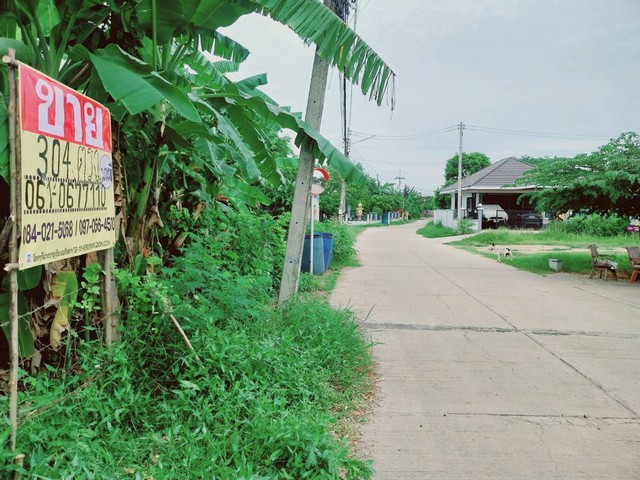 ประกาศฟรี! ซื้อ-ขาย-เช่า คอนโด บ้าน ทาวน์โฮม ที่ดิน และพื้นที่เชิงพาณิชย์ทั่วประเทศไทย ทุกทำเล ทุกงบประมาณ ไม่มีค่าใช้จ่าย ลงง่าย ขายไว เข้าถึงผู้ซื้อโดยตรง 4 500560pic3.jpg