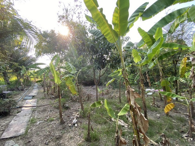 ประกาศฟรี! ซื้อ-ขาย-เช่า คอนโด บ้าน ทาวน์โฮม ที่ดิน และพื้นที่เชิงพาณิชย์ทั่วประเทศไทย ทุกทำเล ทุกงบประมาณ ไม่มีค่าใช้จ่าย ลงง่าย ขายไว เข้าถึงผู้ซื้อโดยตรง 3 500798pic2.jpg