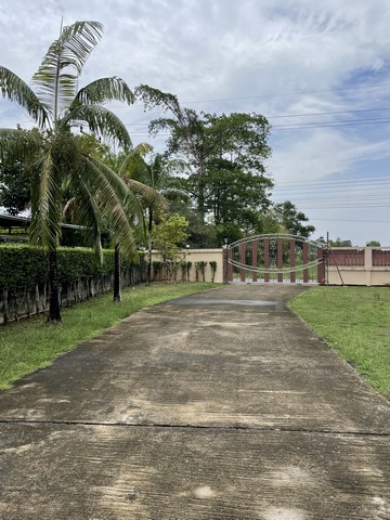 ประกาศฟรี! ซื้อ-ขาย-เช่า คอนโด บ้าน ทาวน์โฮม ที่ดิน และพื้นที่เชิงพาณิชย์ทั่วประเทศไทย ทุกทำเล ทุกงบประมาณ ไม่มีค่าใช้จ่าย ลงง่าย ขายไว เข้าถึงผู้ซื้อโดยตรง 3 302728pic2.jpg