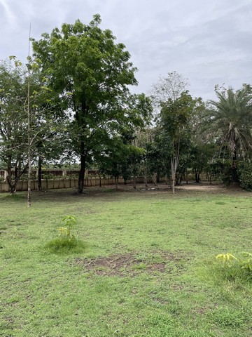 ประกาศฟรี! ซื้อ-ขาย-เช่า คอนโด บ้าน ทาวน์โฮม ที่ดิน และพื้นที่เชิงพาณิชย์ทั่วประเทศไทย ทุกทำเล ทุกงบประมาณ ไม่มีค่าใช้จ่าย ลงง่าย ขายไว เข้าถึงผู้ซื้อโดยตรง 5 302728pic4.jpg